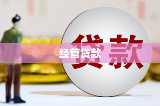 怀来经营贷款