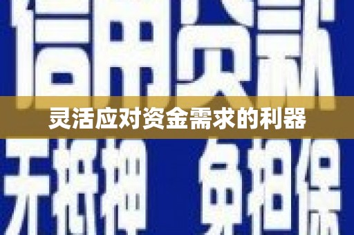 怀来灵活应对资金需求的利器