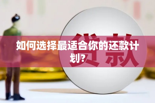 怀来如何选择最适合你的还款计划？