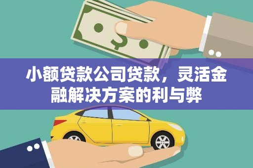 怀来小额贷款公司贷款，灵活金融解决方案的利与弊
