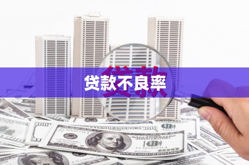 怀来贷款不良率